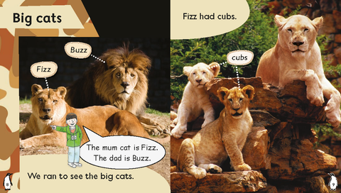 ORT Floppy's Phonics Non-Fiction: Stage 2