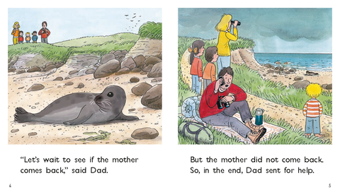 ORT Decode and Develop Stage 4