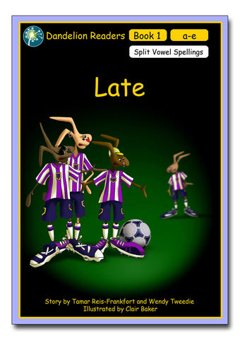 DR9 - Split Vowel Spellings Set