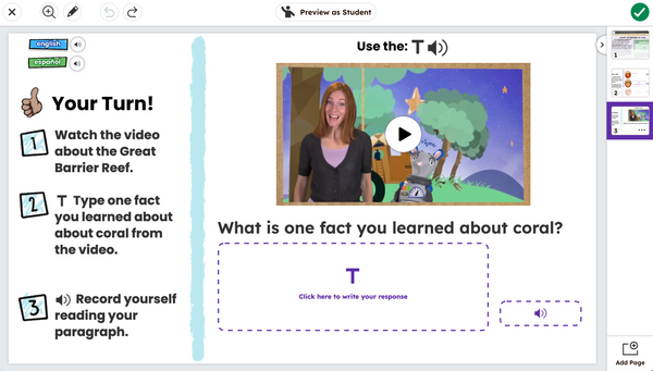 Seesaw Instruction and Insights