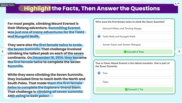 Seesaw Instruction and Insights