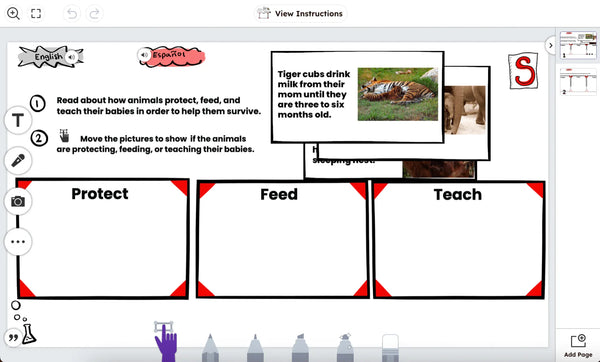 Seesaw Instruction and Insights