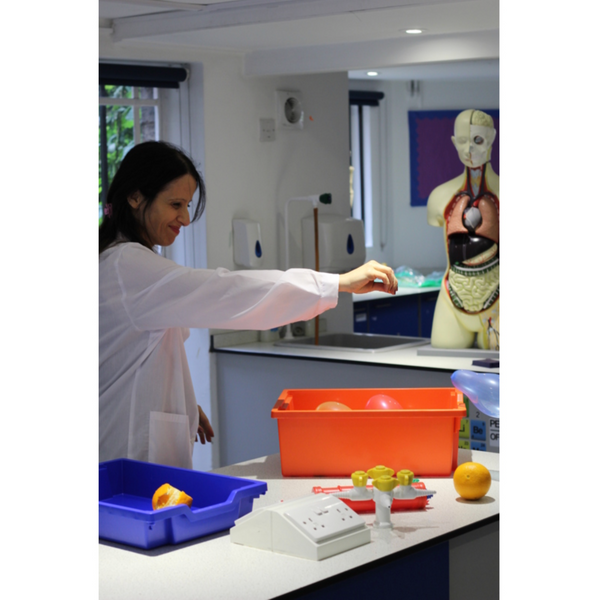 Standard F2 Deep Tray (pack of 20)