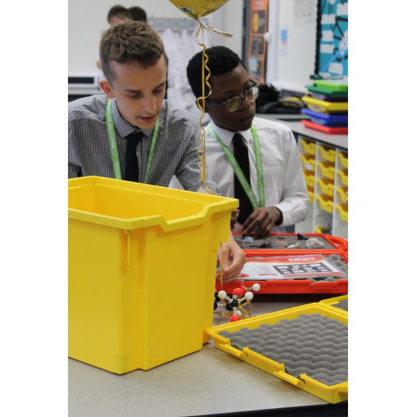 Standard F3 Jumbo Tray (pack of 9)