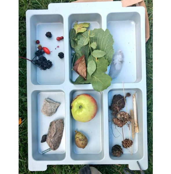 Standard Shallow Moulded Insert 6 Sections - Pack of 6