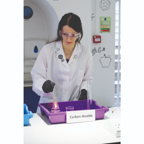 Standard F1 Shallow Tray (pack of 32)