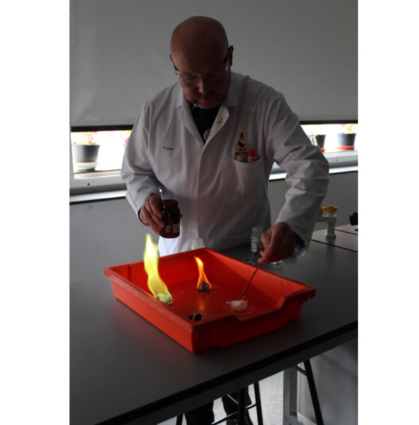 Standard F1 Shallow Tray (pack of 32)