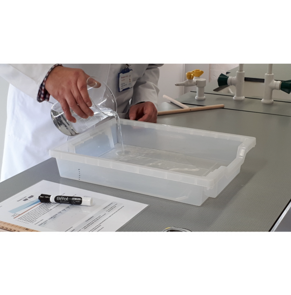 Standard F1 Shallow Tray (pack of 32)