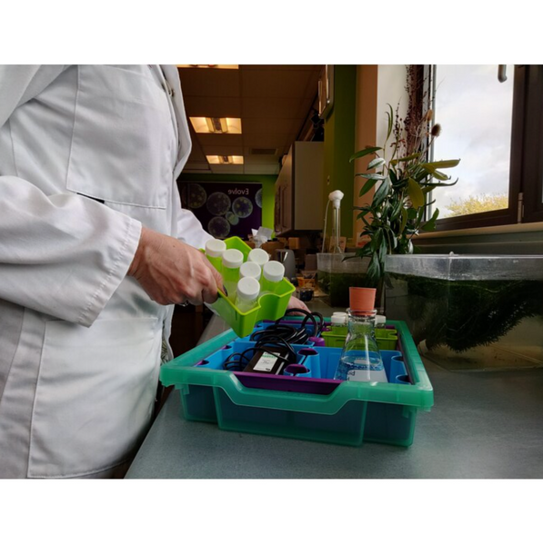 Standard F1 Shallow Tray (pack of 32)