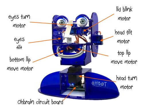 Ohbot (with course materials)