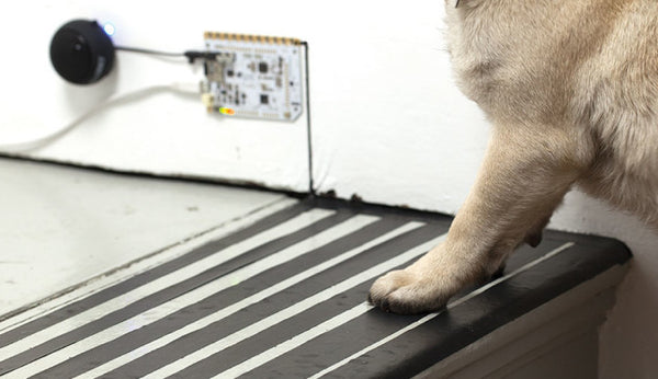 Touch Board Starter Kit