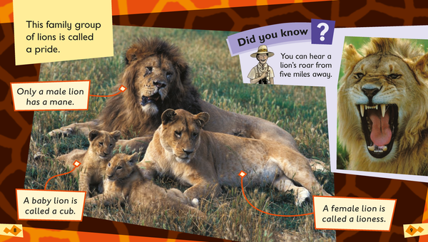 ORT Floppy's Phonics Non-Fiction: Stage 5