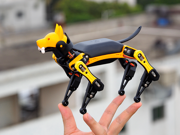 Bittle Robot Dog (Yellow + Black)