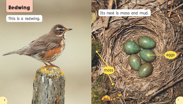 Explore with Biff, Chip and Kipper: Oxford Level 2