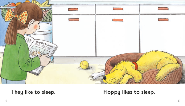 ORT Stage 1+ More First Sentences A