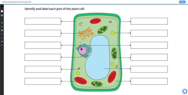 Formative Partner Plan