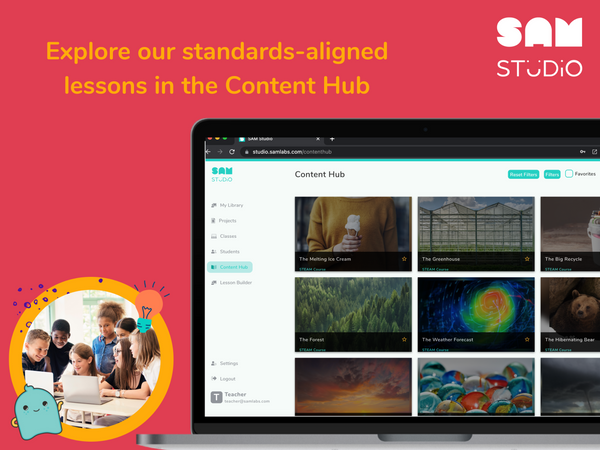 SAM Studio - 12 months subscription