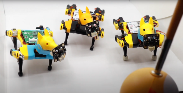 Bittle Robot Dog (Yellow + Black)
