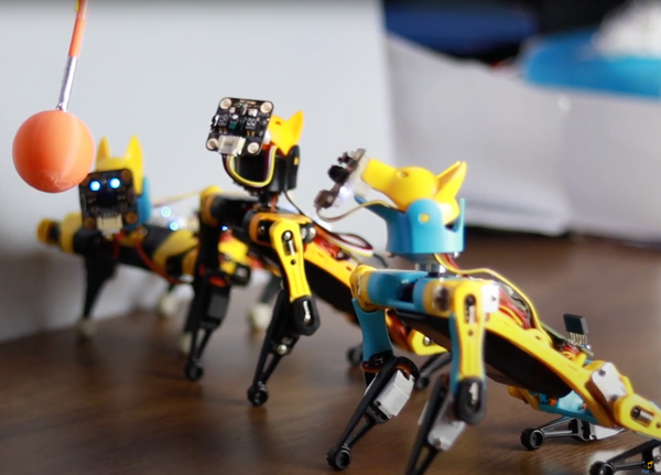 Bittle Robot Dog (Yellow + Black)