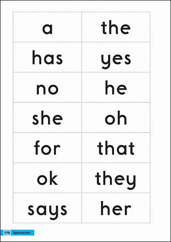 Level 2 Fix-it Phonics Teacher’s Guide (2nd Edition)