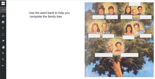 Formative Partner Plan