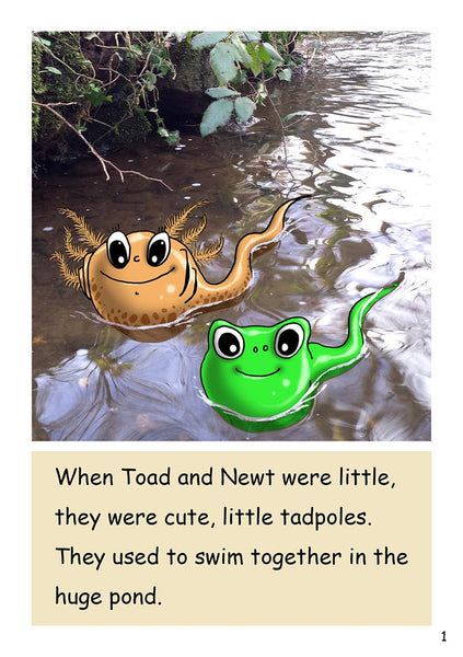 DR16 - Level 4 'Newt and Toad'