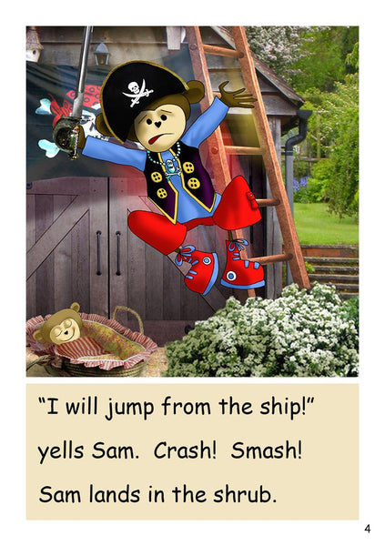 UNITS 11-20 » DR4 - Set 1 'Pip Gets Rich'