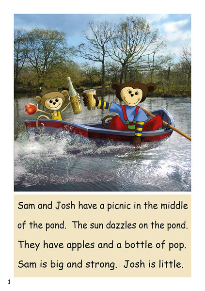 UNITS 11-20 » DR4 - Set 1 'Pip Gets Rich'