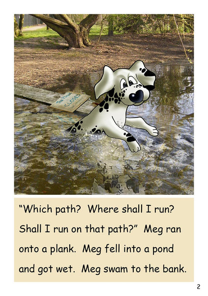 UNITS 11-20 » DR4 - Set 1 'Pip Gets Rich'