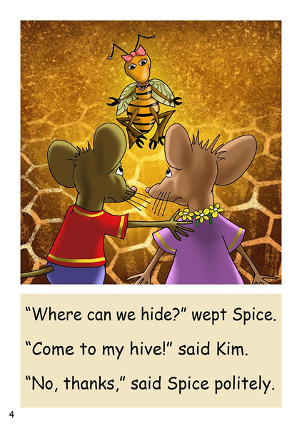 DR9 - Split Vowel Spellings Set